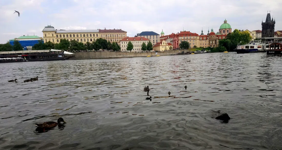 Vltavská, Prague